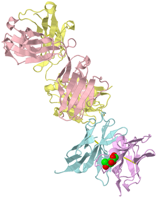 Image Biological Unit 2