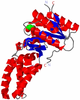 Image Asym./Biol. Unit