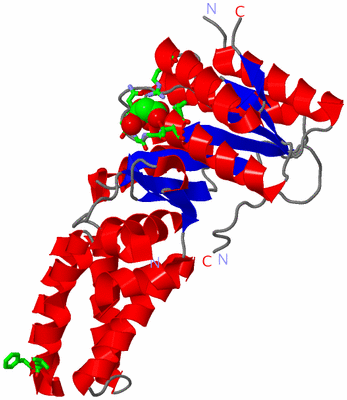 Image Asym./Biol. Unit - sites