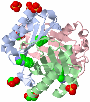 Image Asym./Biol. Unit