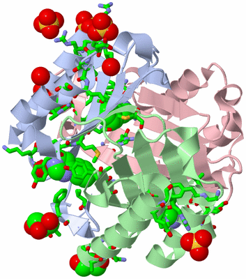 Image Asym./Biol. Unit - sites