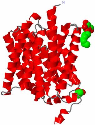 Image Asymmetric Unit