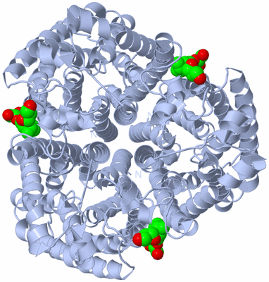 Image Biological Unit 1