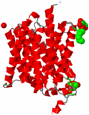 Image Asym. Unit - sites