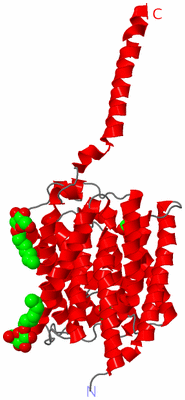 Image Asymmetric Unit