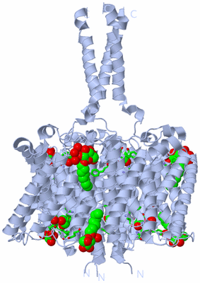 Image Biol. Unit 1 - sites