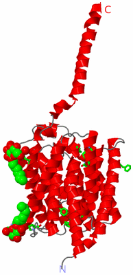 Image Asym. Unit - sites