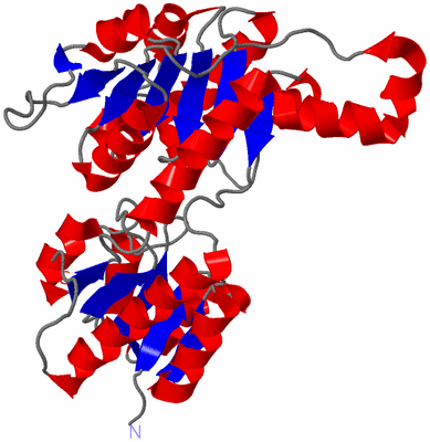 Image Asymmetric Unit