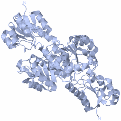 Image Biological Unit 1