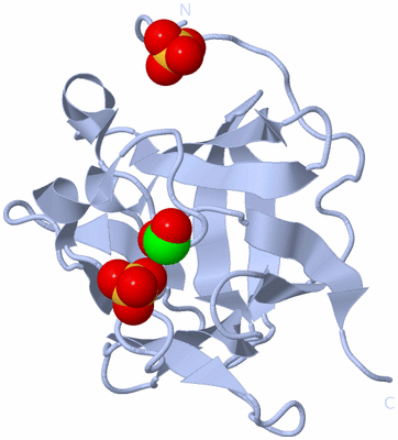 Image Biological Unit 1