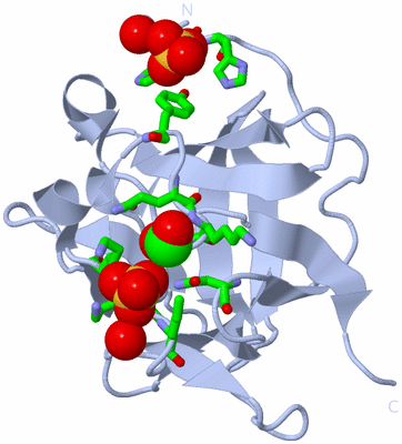 Image Biol. Unit 1 - sites