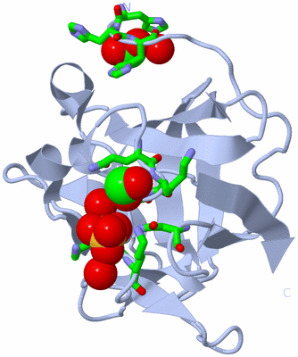 Image Biol. Unit 1 - sites