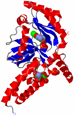 Image Asym./Biol. Unit