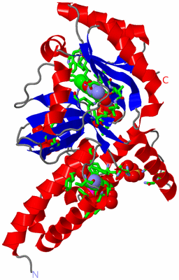 Image Asym./Biol. Unit - sites