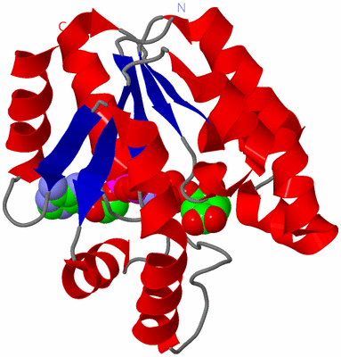 Image Asym./Biol. Unit