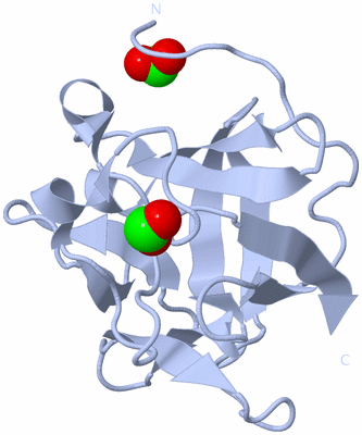 Image Biological Unit 1