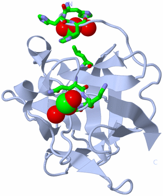 Image Biol. Unit 1 - sites