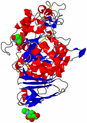 Image Asym./Biol. Unit