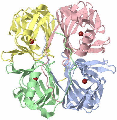 Image Asym./Biol. Unit