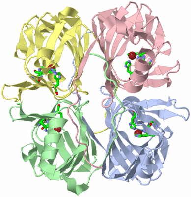 Image Asym./Biol. Unit - sites