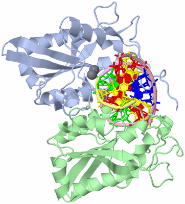 Image Asym./Biol. Unit