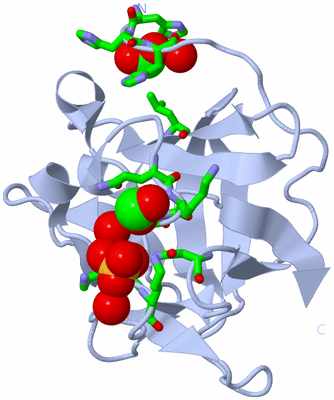 Image Biol. Unit 1 - sites