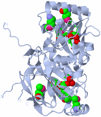 Image Biol. Unit 1 - sites