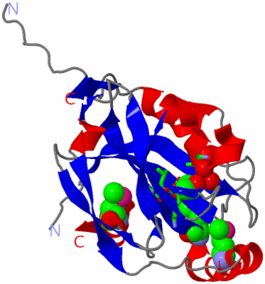 Image Asym. Unit - sites