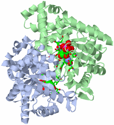 Image Asym./Biol. Unit - sites