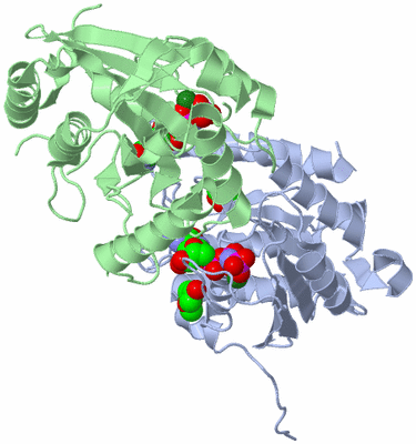 Image Biological Unit 1