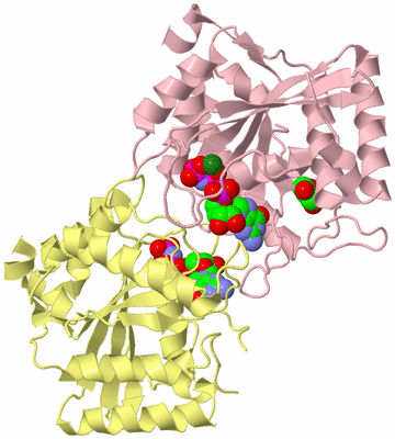 Image Biological Unit 2