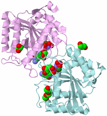 Image Biological Unit 3