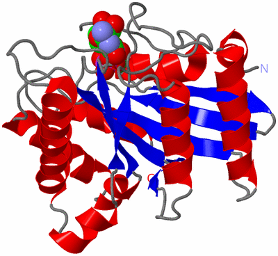 Image Asym./Biol. Unit