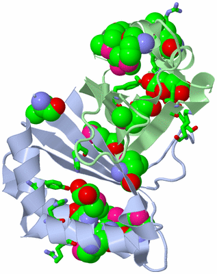 Image Biol. Unit 1 - sites