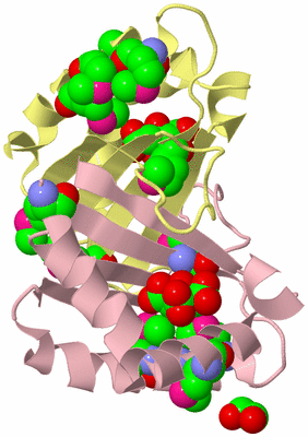 Image Biological Unit 2