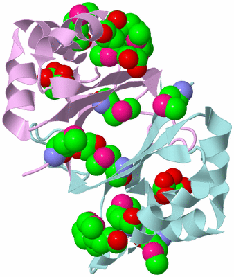 Image Biological Unit 3