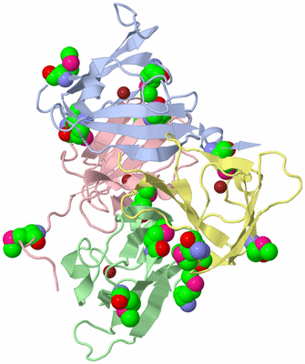 Image Biological Unit 1