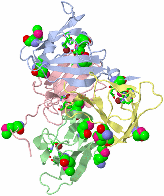 Image Biol. Unit 1 - sites