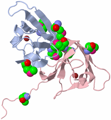 Image Biological Unit 2