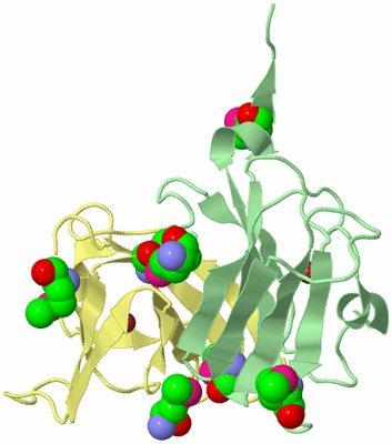 Image Biological Unit 3