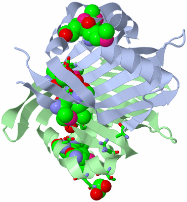 Image Biol. Unit 1 - sites