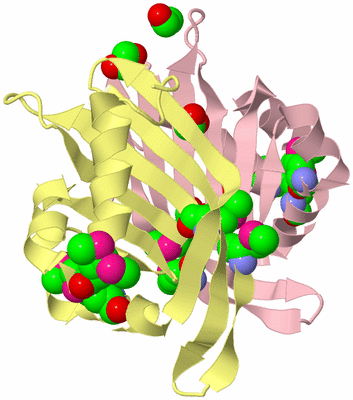 Image Biological Unit 2