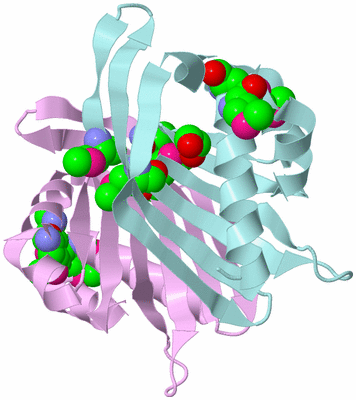 Image Biological Unit 3