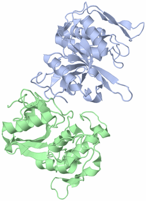 Image Asymmetric Unit