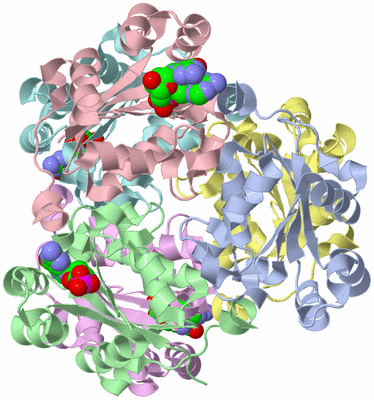 Image Asym./Biol. Unit