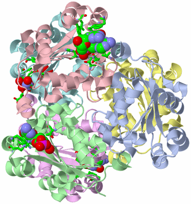 Image Asym./Biol. Unit - sites