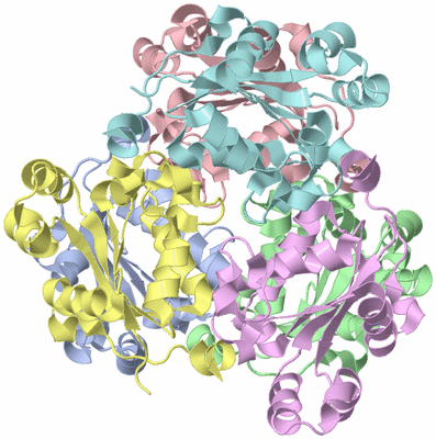 Image Asym./Biol. Unit