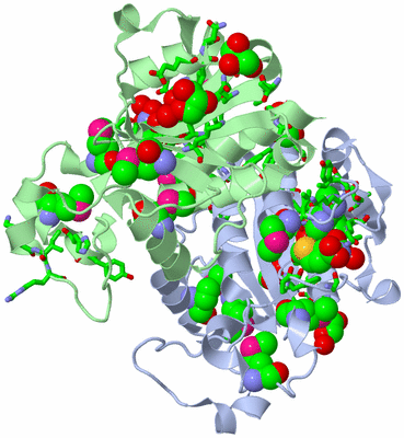 Image Asym./Biol. Unit - sites