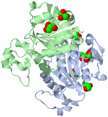 Image Asym./Biol. Unit