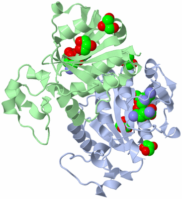 Image Asym./Biol. Unit